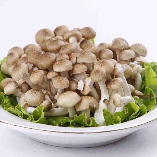 精品蟹味菇 150g/包 商品图2