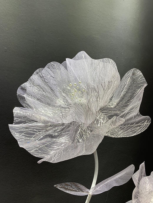 水纹花【运费自理】 商品图3