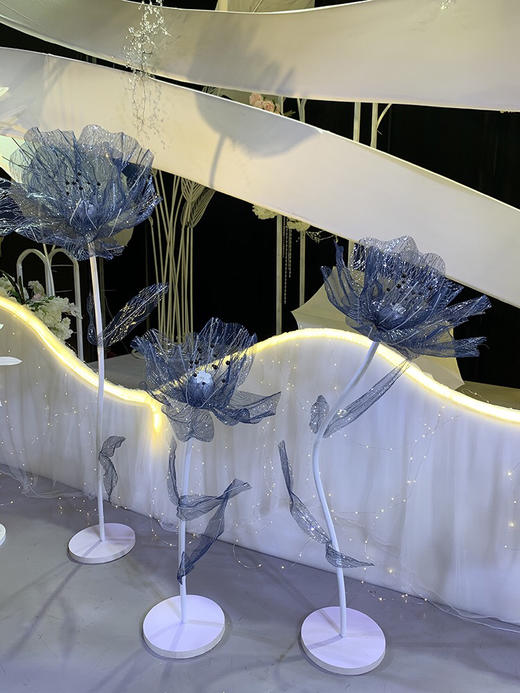 水纹花【运费自理】 商品图5