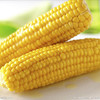 玉米 3个 商品缩略图2