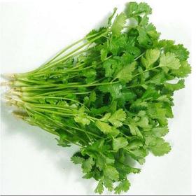【BSS】香菜 约150克