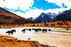 西藏穿越阿里大北线<16天>越野车3人 商品缩略图7