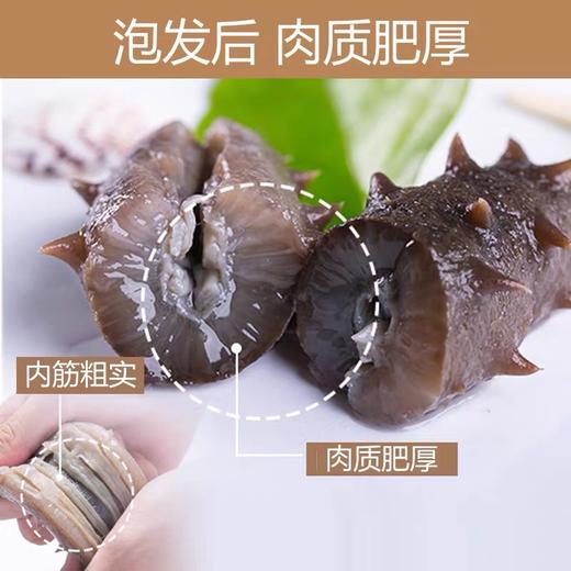 央珍-海洋岛野生速发海参15根/盒 商品图4