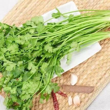 香菜 （约500g) 商品图2