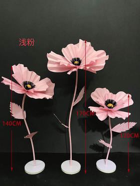 格桑花【运费自理】