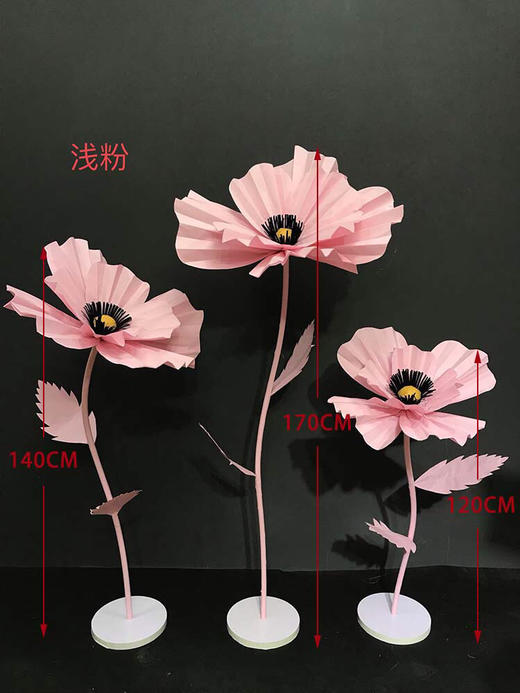 格桑花【运费自理】 商品图0