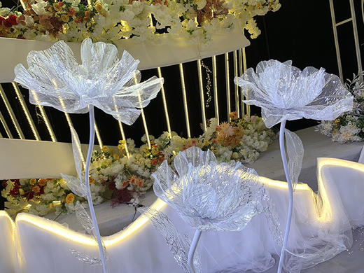 水纹花【运费自理】 商品图2