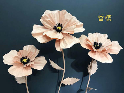 格桑花【运费自理】 商品图7