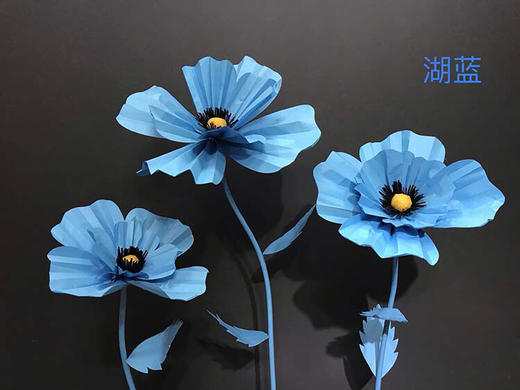 格桑花【运费自理】 商品图6