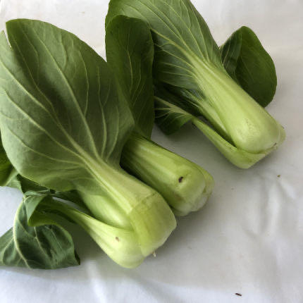 上海青约500g 商品图2