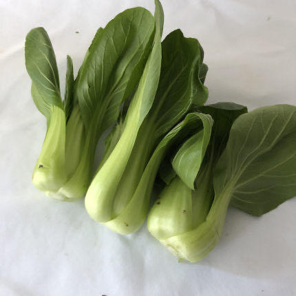 上海青约500g 商品图1