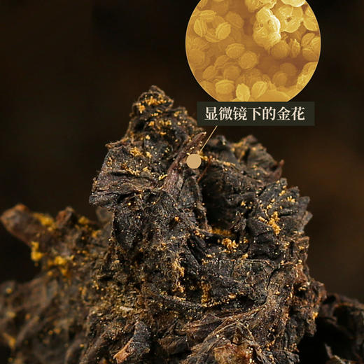 陈皮茯茶礼盒 商品图2