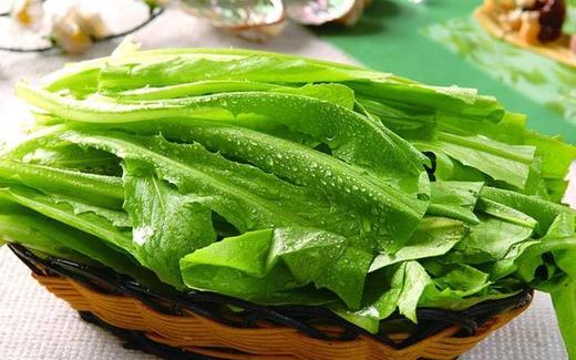 油麦菜 约500g 商品图2