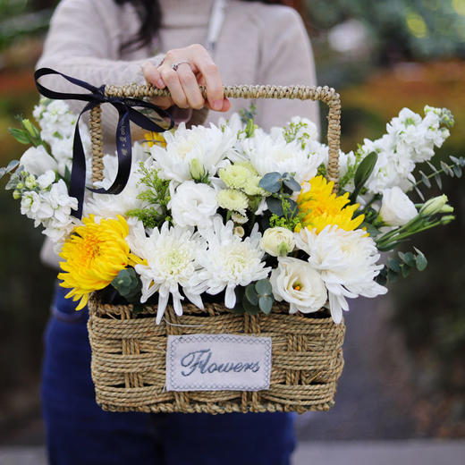 菊花手提花篮-扫墓祭奠追悼念鲜花速递同城清明节重阳节祭祖 商品图0