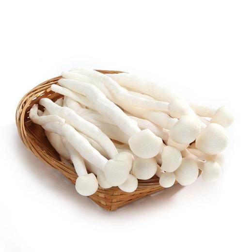 海鲜菇（250g/袋） 商品图2