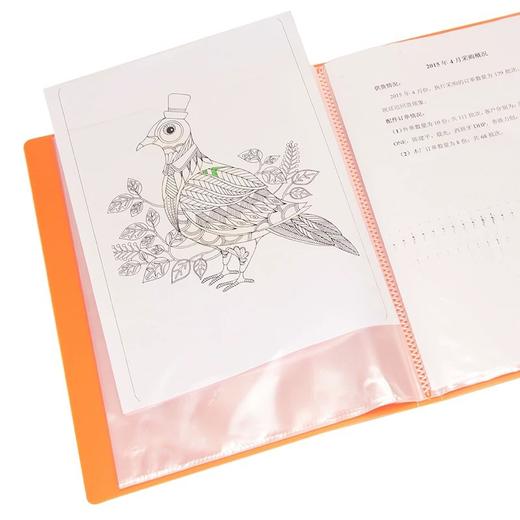 康百彩色资料册/40页（颜色随机） 商品图2