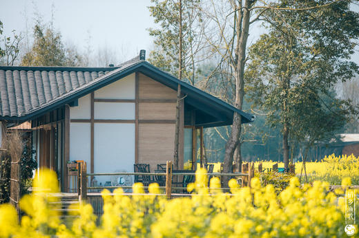 【大邑-125号院】2房/3房/4房包院，十里稻花、溪水绕乡，带暖气，这里有乡间野趣的诗和远方，DXYG 商品图1