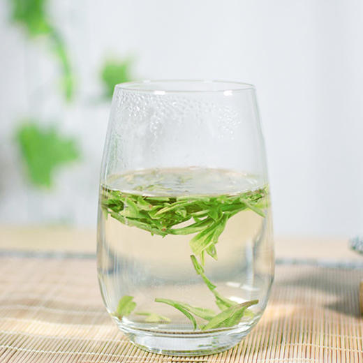 葛龙西湖明前龙井茶一杯春茶泡出满屋春意