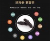央珍-海洋岛野生速发海参15根/盒 商品缩略图3