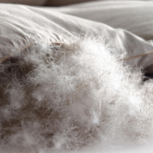 北冰洋王绒鸭春秋/地暖/冬被 会抱团生暖的绒朵 商品图2