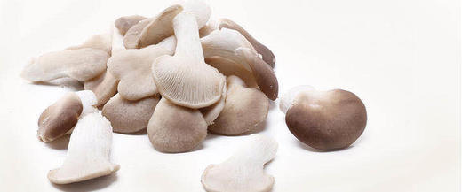 秀珍菇约500g 商品图3