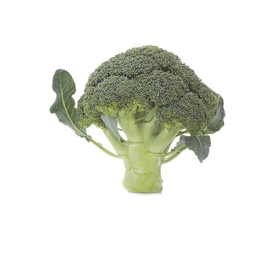 【蔬】西兰花一颗（约500g） 商品图3