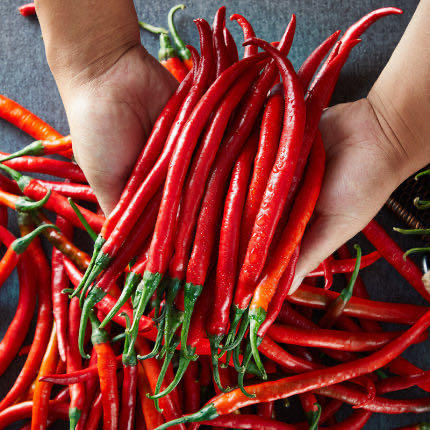 红线椒（约500g） 商品图3