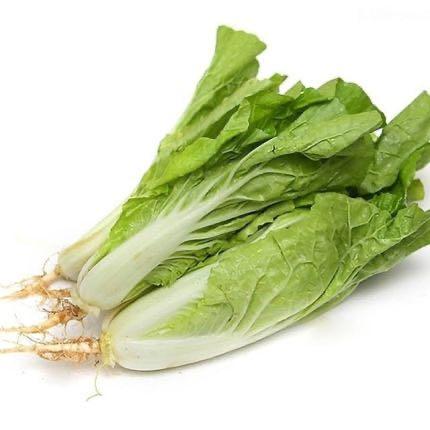 黄白菜 约500克 商品图2