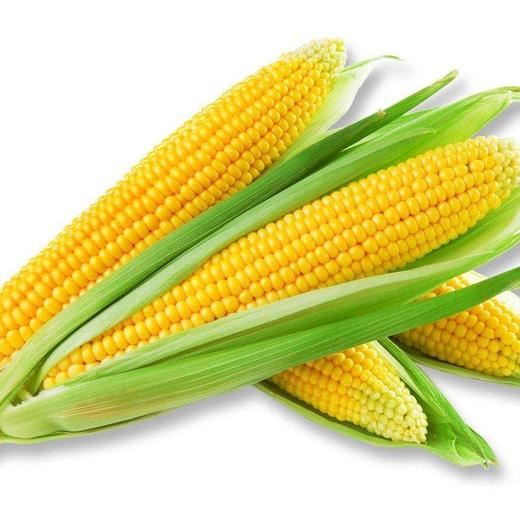 玉米 3个 商品图0