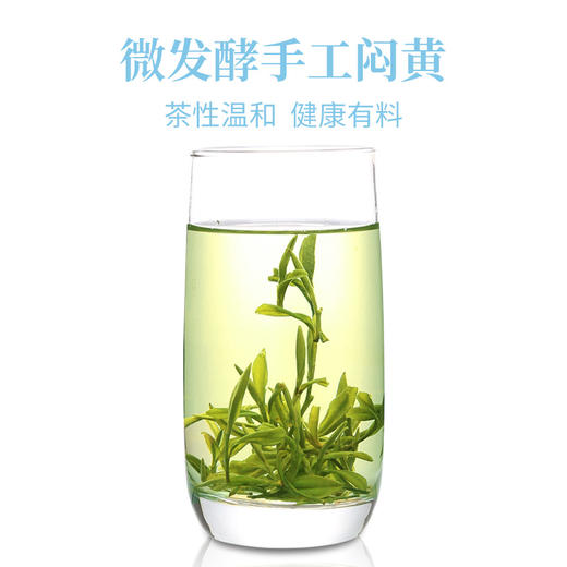 徽六霍山黄芽2024新茶明前特级黄茶茶叶国潮1000礼盒送礼配礼袋 商品图5