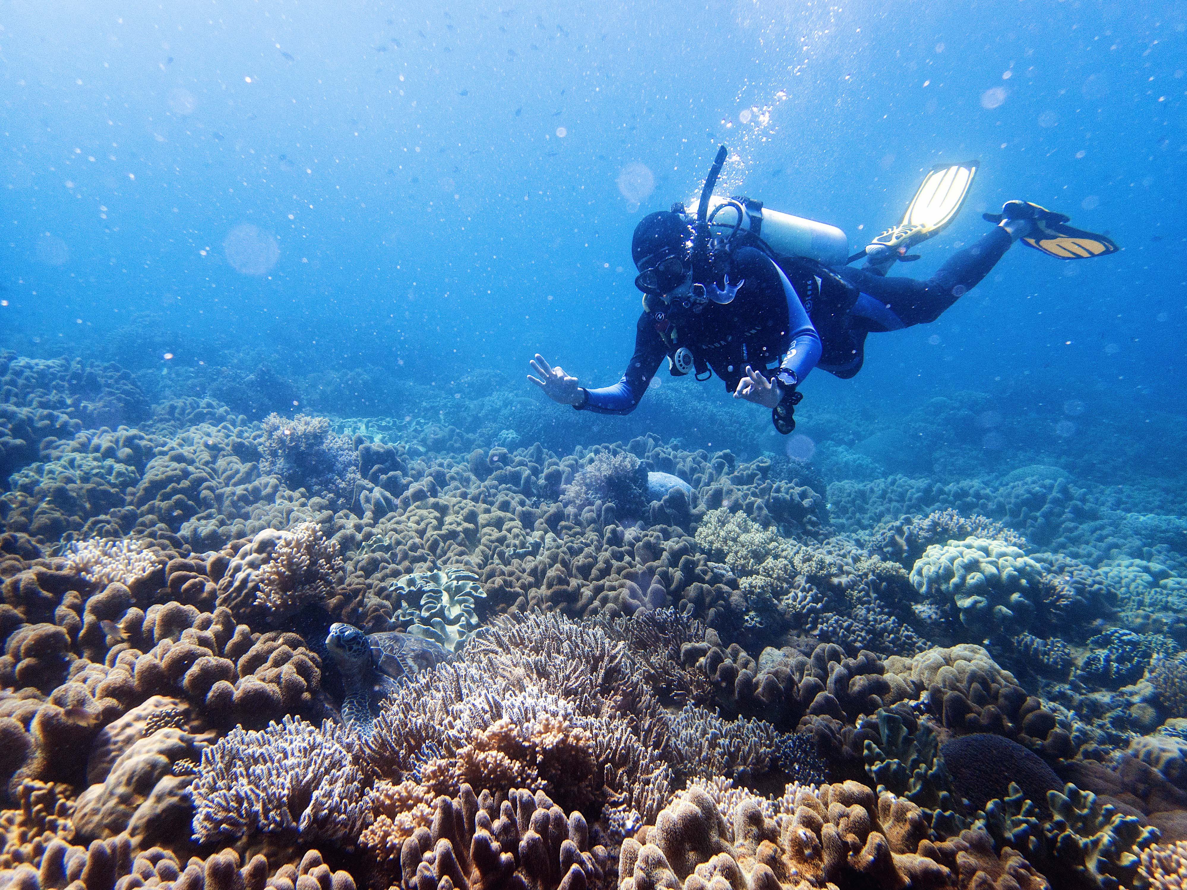潜水度假 | 薄荷岛 PG岛潜水考证之旅 6天5晚