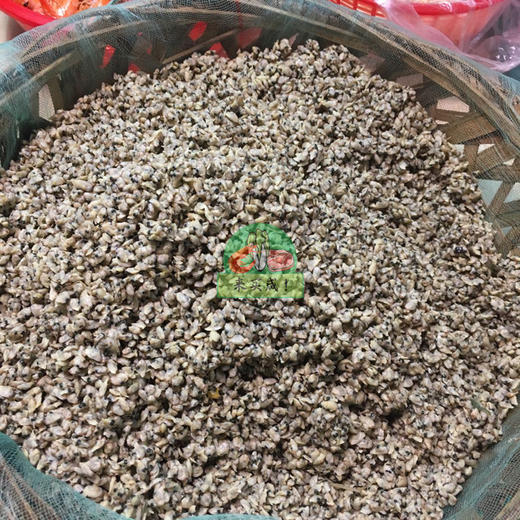 红肉米 商品图0