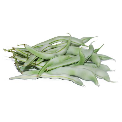 白棒豆白四季豆