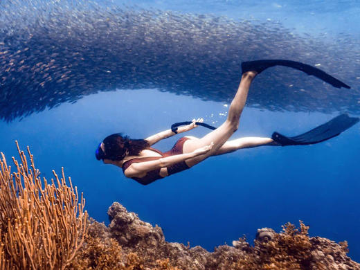 潜水度假 | 薄荷岛 PG岛潜水考证之旅 6天5晚 商品图2