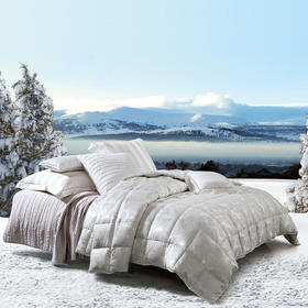 镇店之魂冰岛皇室雁鸭绒被（限量定制款）