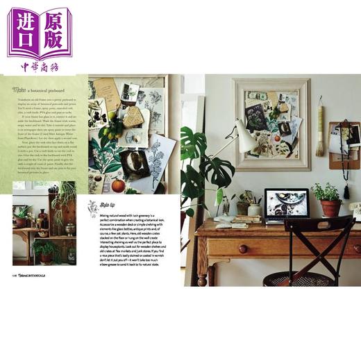 【中商原版】植物风格：灵感装饰与自然，植物和花香 花艺园艺与室内设计装饰 英文原版 Botanical Style 商品图1
