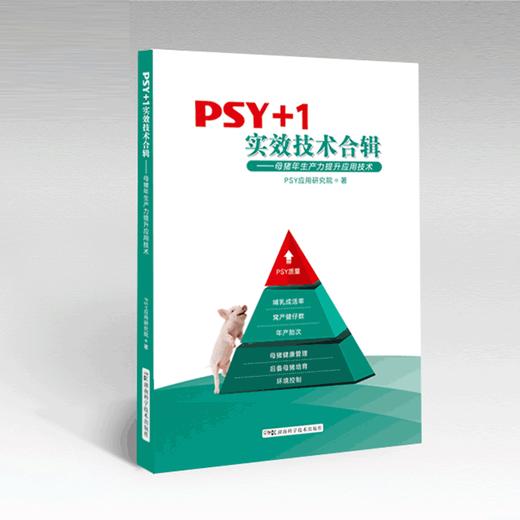 《PSY+1实效技术合辑》【PSY应用研究院合力打造】满满的干货，你值得拥有 商品图0