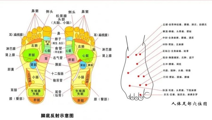 爱做足疗 是自古以来便传承下来的传统 脚又被称作人体的第二心脏 人