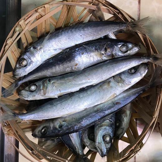 大花仙 鱼饭 商品图0