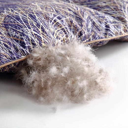 阿拉斯加雁鹅绒被（限量款） 商品图3