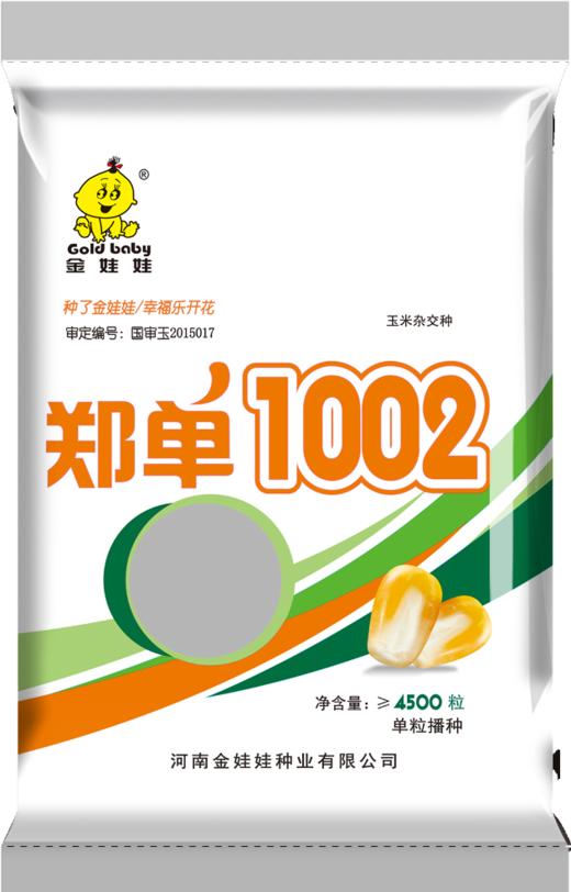 郑单1002