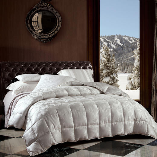 镇店之魂冰岛皇室雁鸭绒被（限量定制款） 商品图1