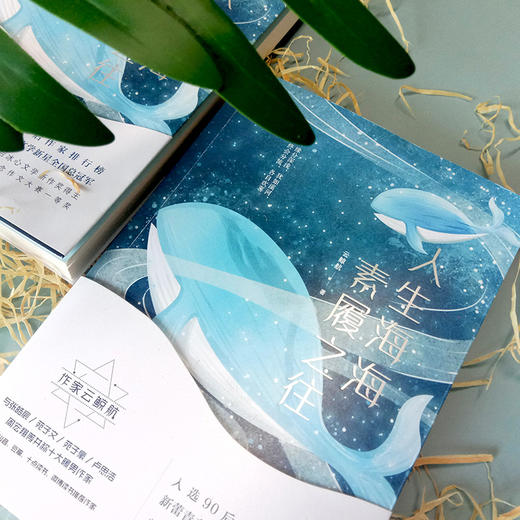 人生海海 素履之往 商品图1