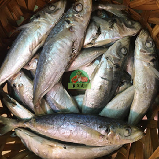 巴浪鱼饭 商品图0