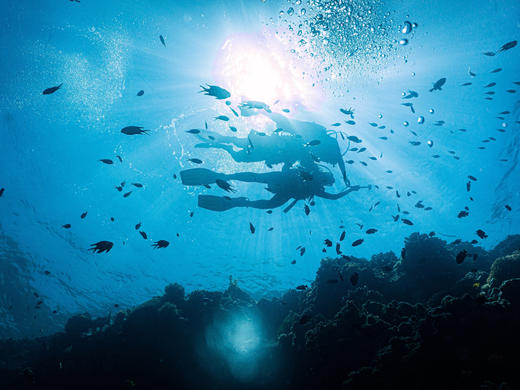 潜水度假 | 薄荷岛 PG岛潜水考证之旅 6天5晚 商品图4