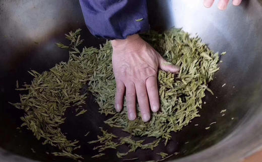 春茶来了｜2026梅家坞明前龙井 商品图5