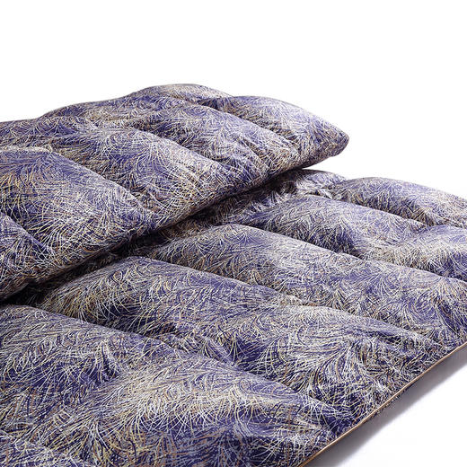 阿拉斯加雁鹅绒被（限量款） 商品图4