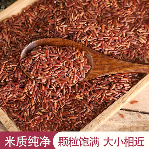 【海红香米】粤海田海红香米 喝海水长大 大米  健康美味 商品图2