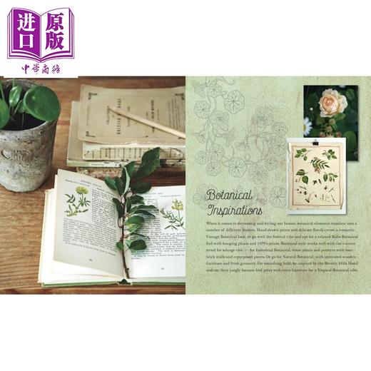 【中商原版】植物风格：灵感装饰与自然，植物和花香 花艺园艺与室内设计装饰 英文原版 Botanical Style 商品图3