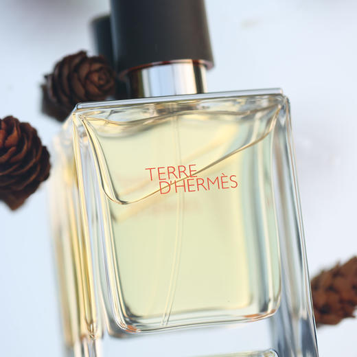 Hermes爱马仕Terre大地男士香水50ml/
100ml 商品图1